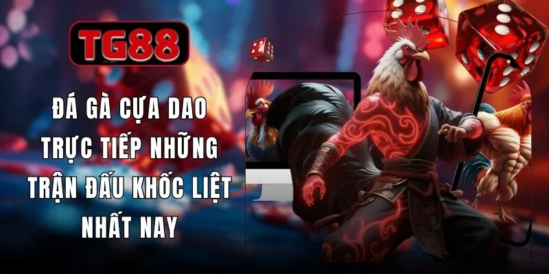 Đá Gà Cựa Dao